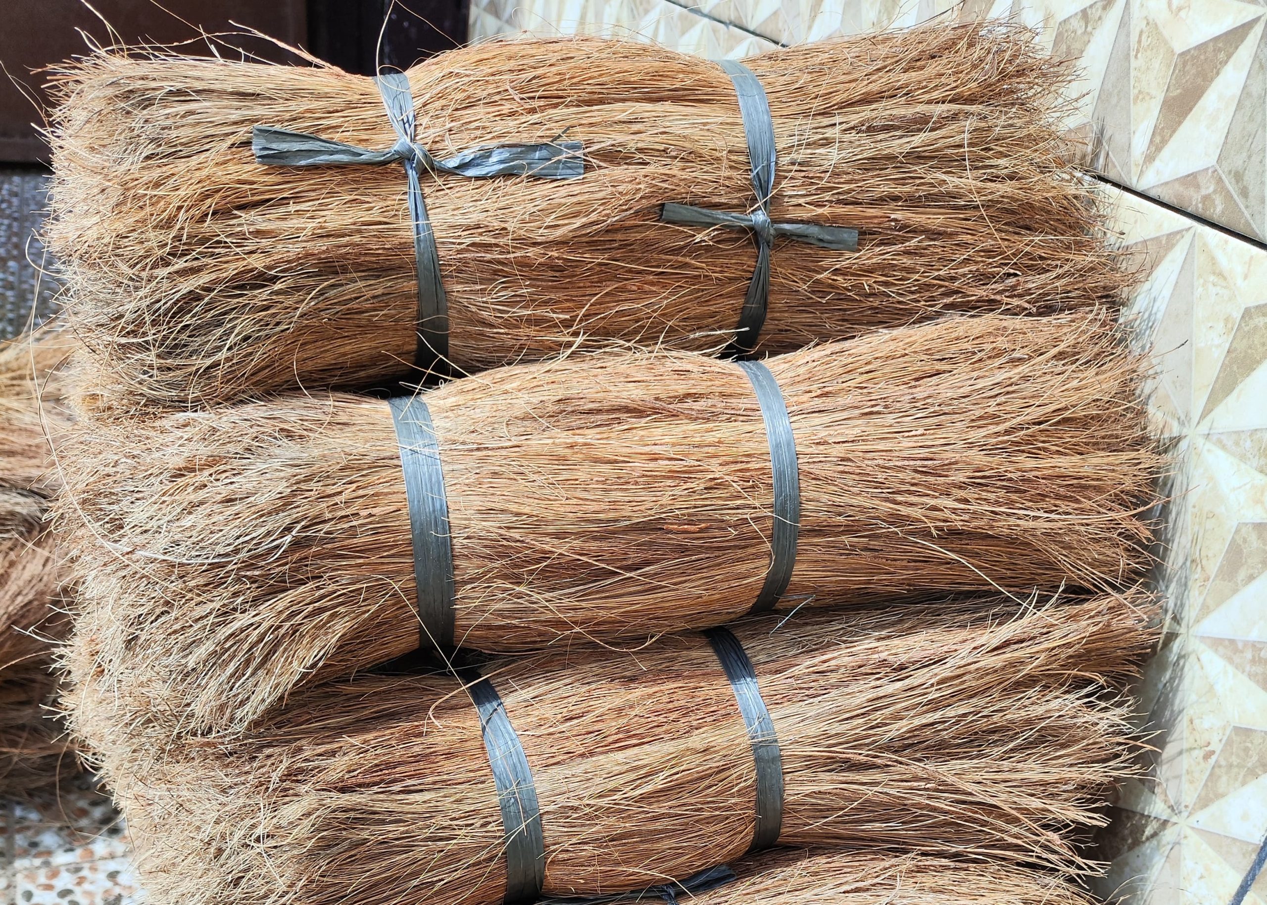 WhatsApp Image 2024-11-23 at 14.47